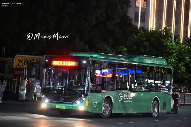 800BUS