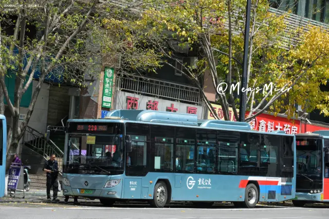 800BUS