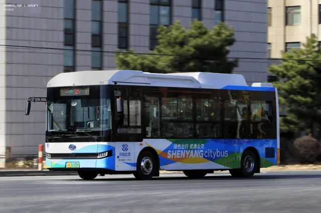 800BUS