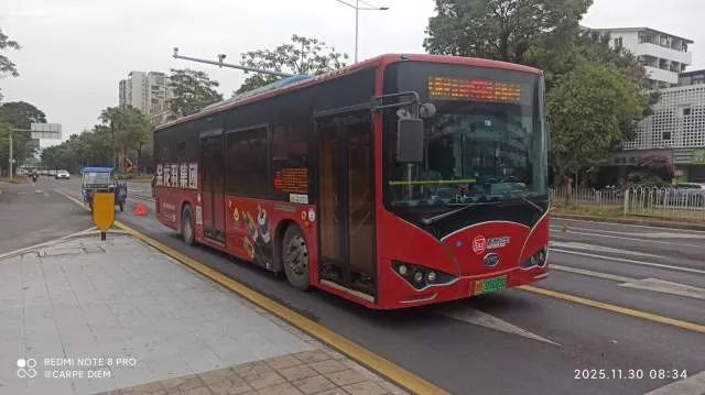 800BUS