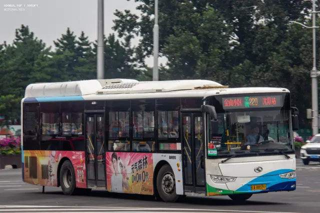 800BUS