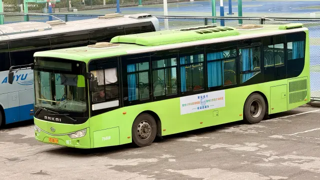 800BUS
