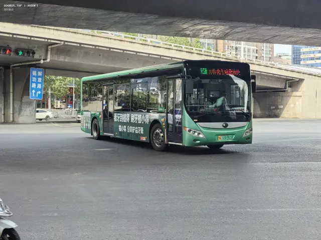 800BUS