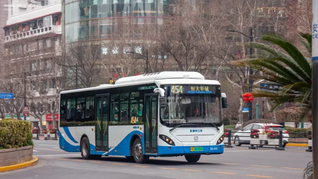 800BUS