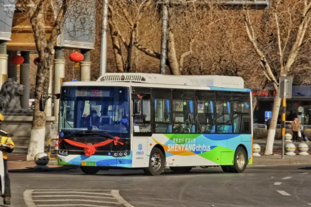 800BUS