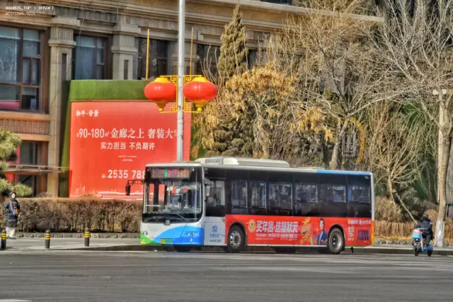 800BUS