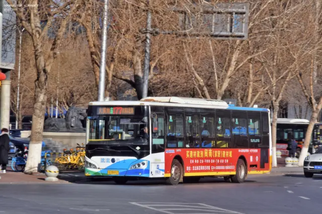 800BUS