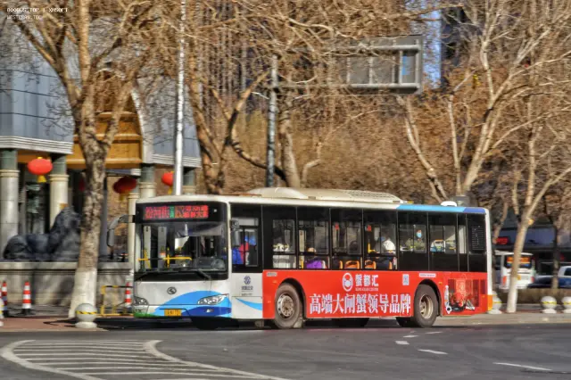 800BUS