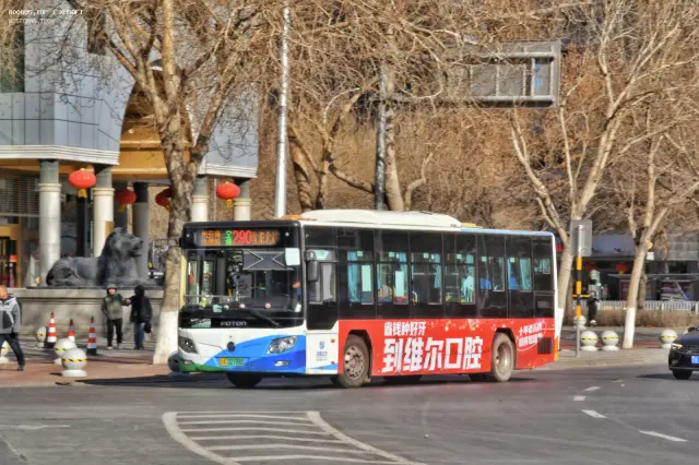 800BUS