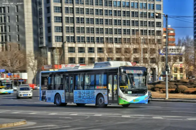 800BUS