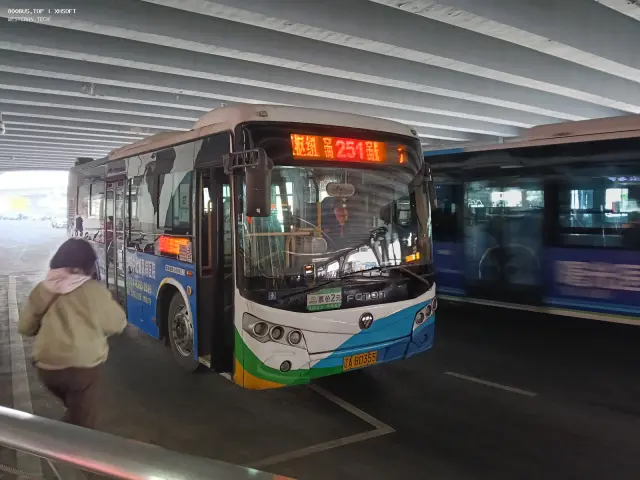 800BUS