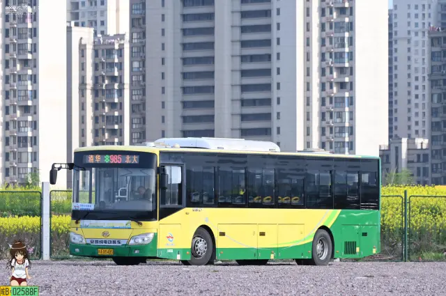 800BUS