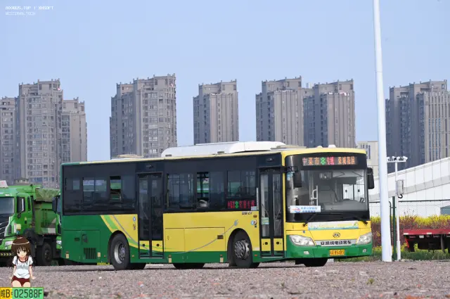 800BUS