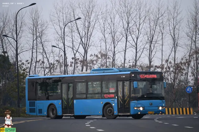800BUS
