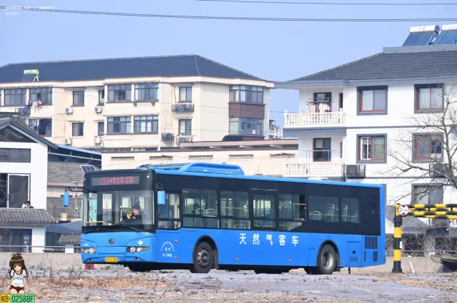 800BUS