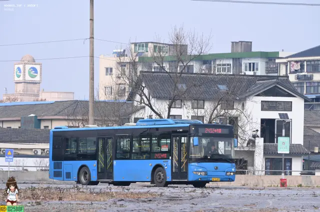 800BUS