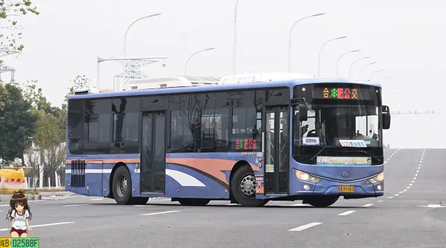 800BUS