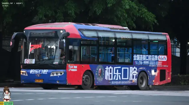 800BUS