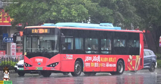 800BUS