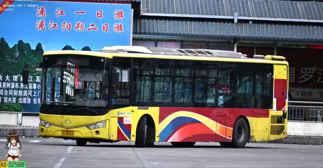 800BUS