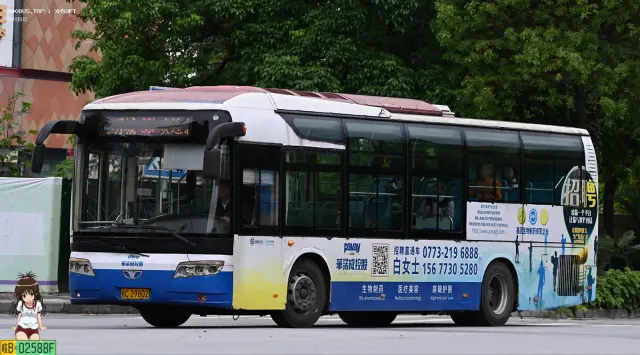 800BUS