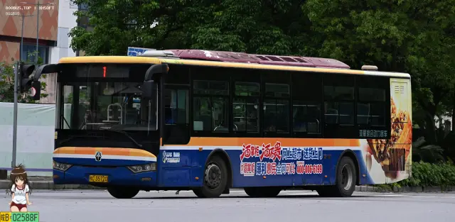 800BUS