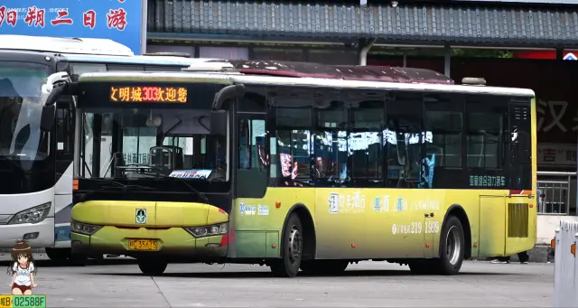 800BUS