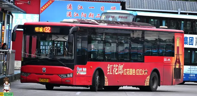 800BUS