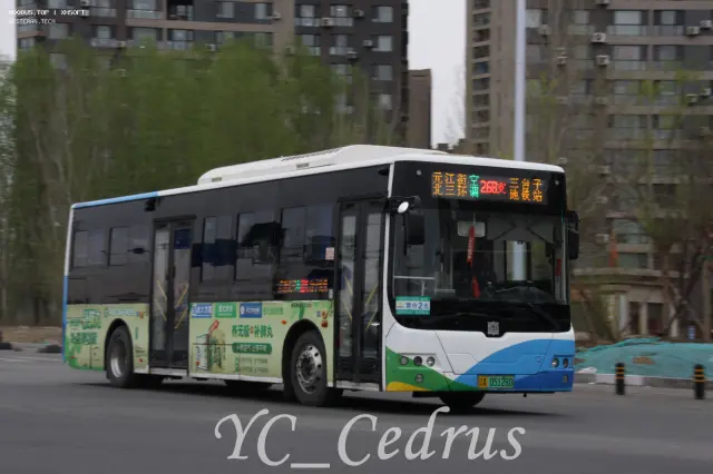 800BUS