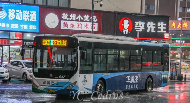 800BUS
