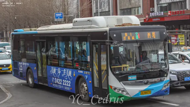 800BUS