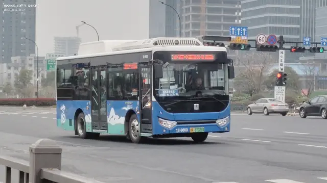 800BUS