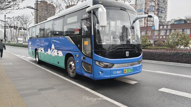 800BUS