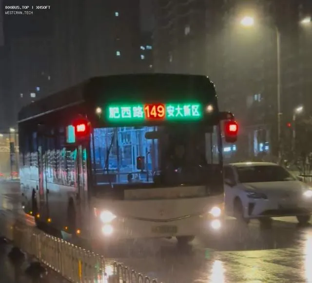 800BUS