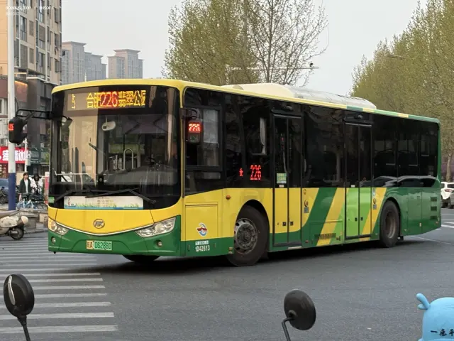 800BUS
