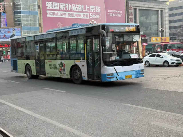 800BUS