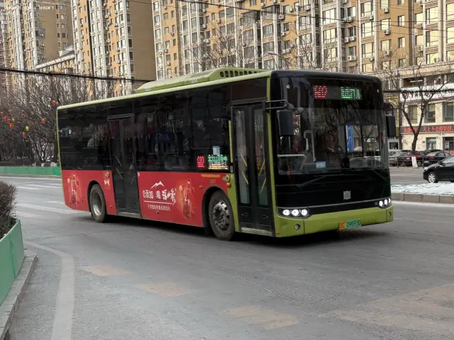 800BUS