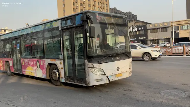 800BUS
