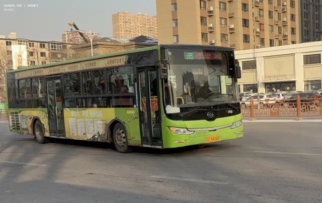 800BUS