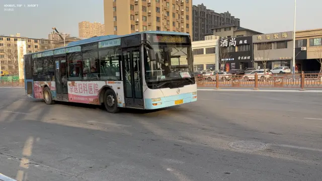 800BUS