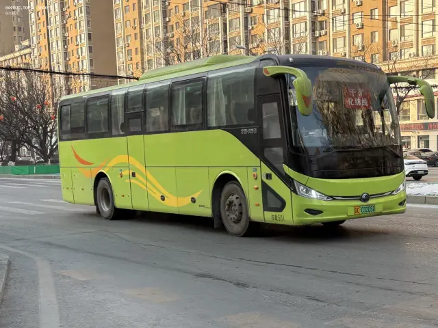 800BUS
