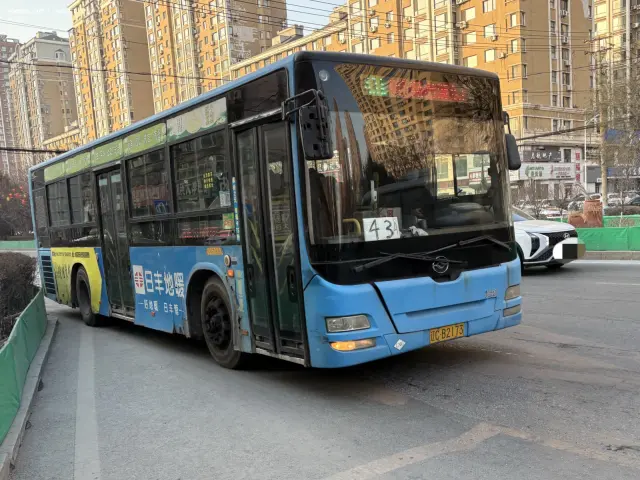 800BUS