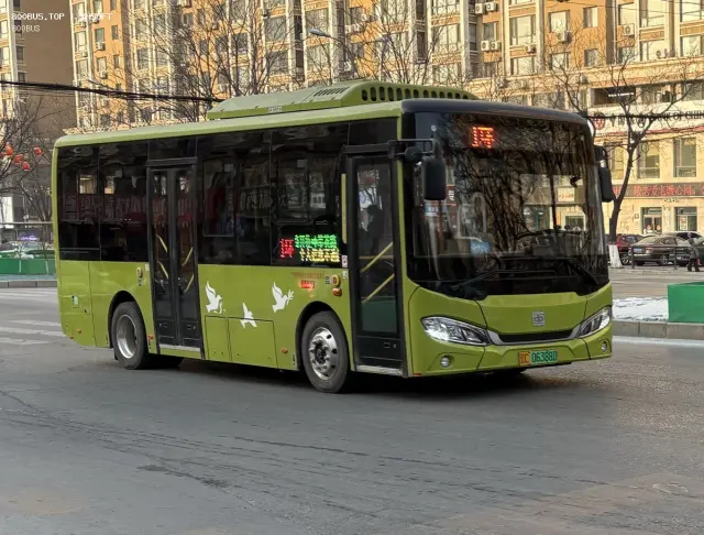 800BUS