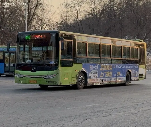 800BUS