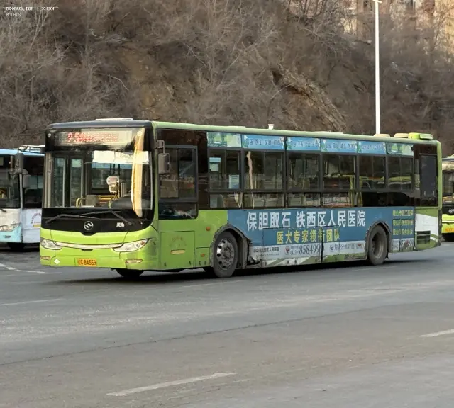 800BUS
