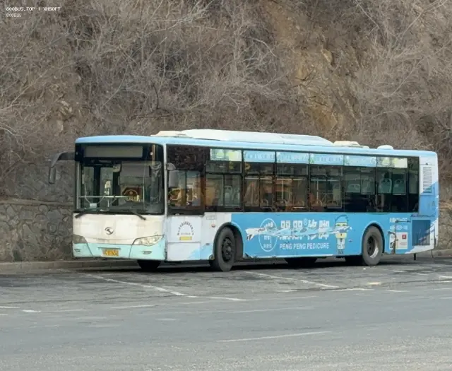 800BUS