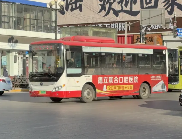 800BUS
