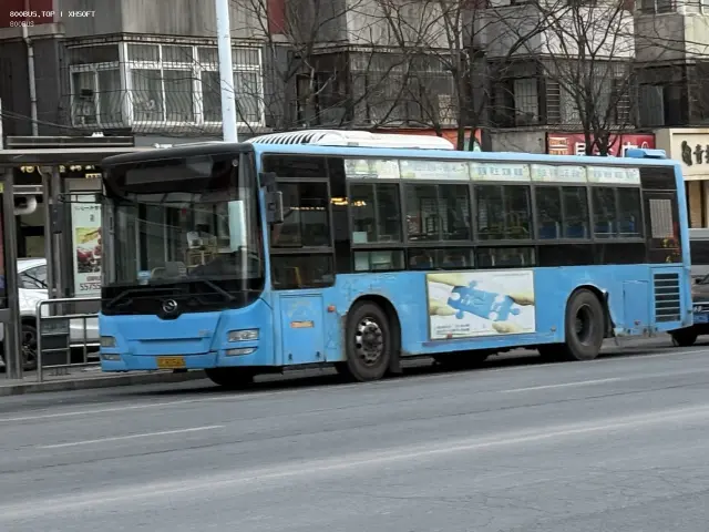 800BUS