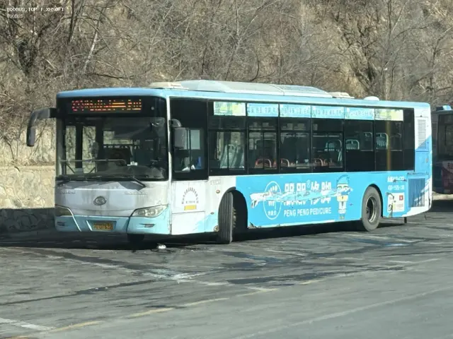 800BUS