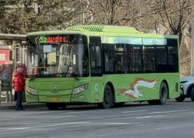 800BUS